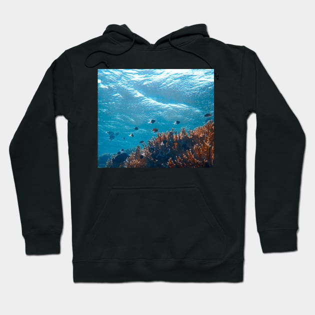 Underwater photography Hoodie by daghlashassan